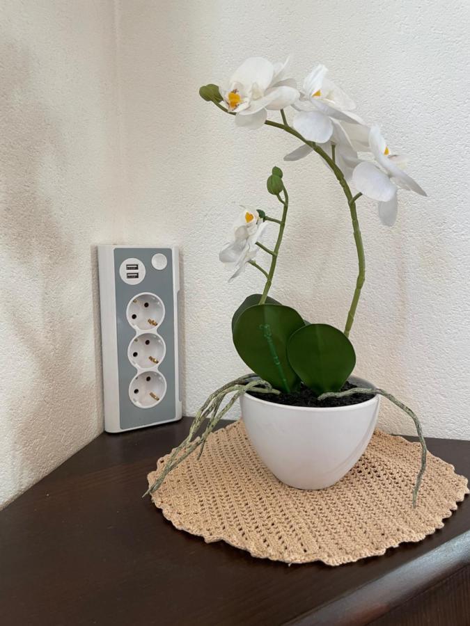 Apartmán Haus Wittig Sankt Ulrich am Pillersee Exteriér fotografie