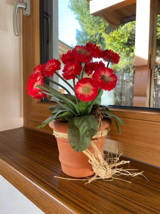 Apartmán Haus Wittig Sankt Ulrich am Pillersee Exteriér fotografie